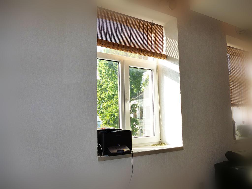Ditton Apartment City Center Daugavpils Værelse billede