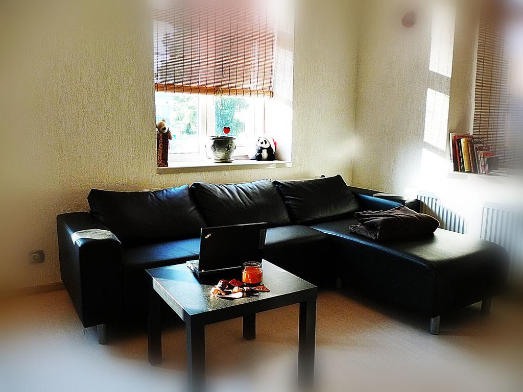 Ditton Apartment City Center Daugavpils Værelse billede