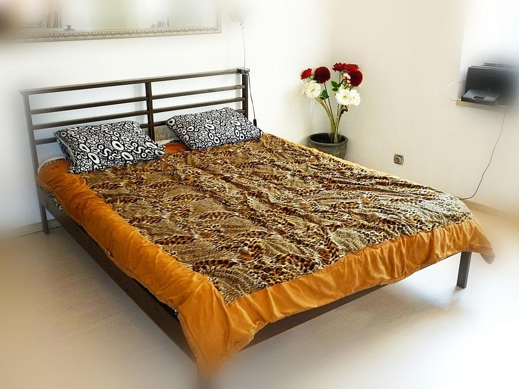 Ditton Apartment City Center Daugavpils Værelse billede